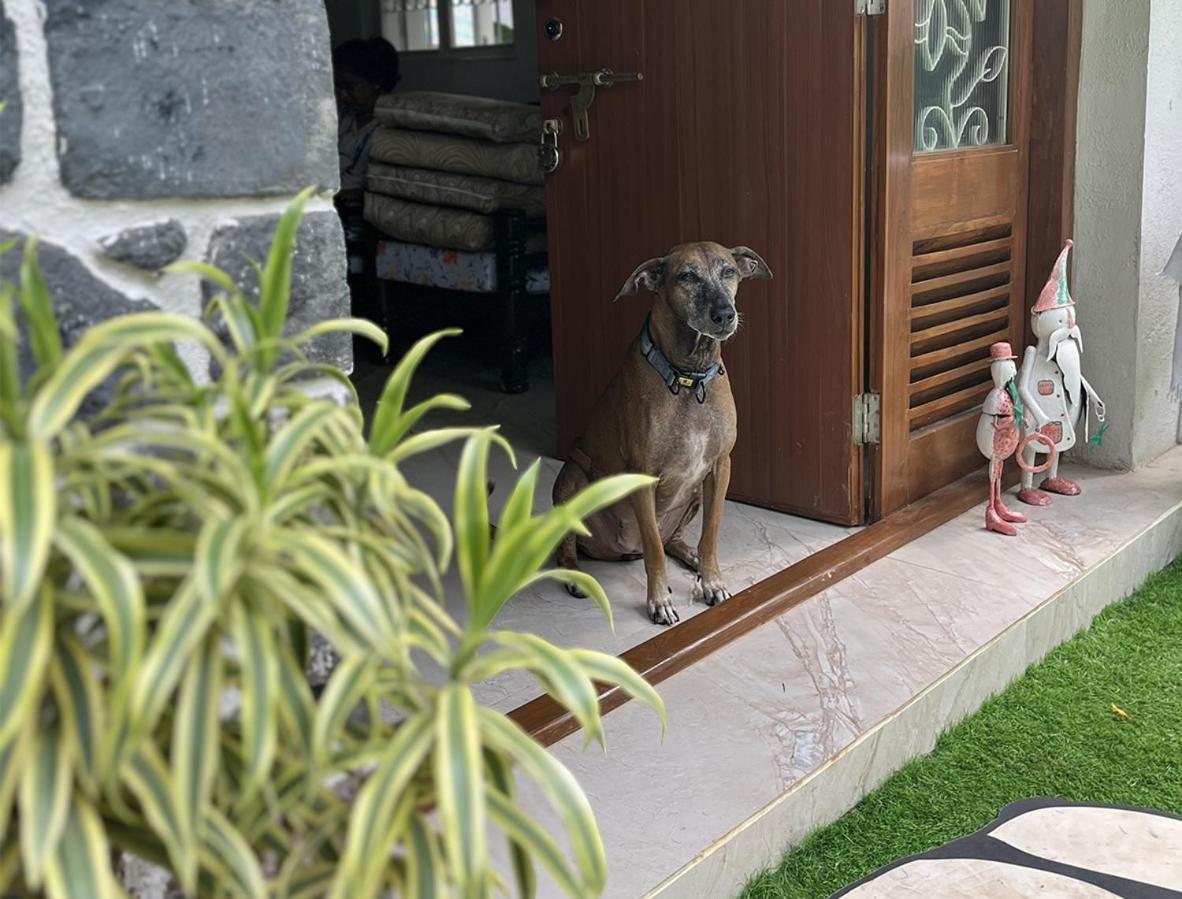 לונבלה Angel House -Your Private Pet Friendly Haven מראה חיצוני תמונה