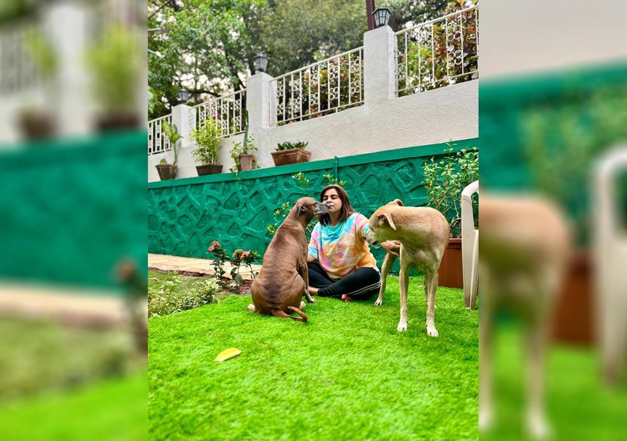 לונבלה Angel House -Your Private Pet Friendly Haven מראה חיצוני תמונה