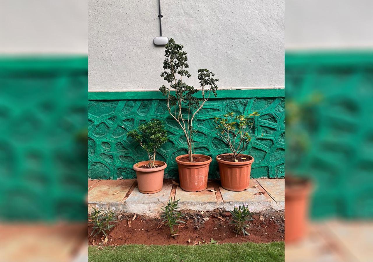 לונבלה Angel House -Your Private Pet Friendly Haven מראה חיצוני תמונה